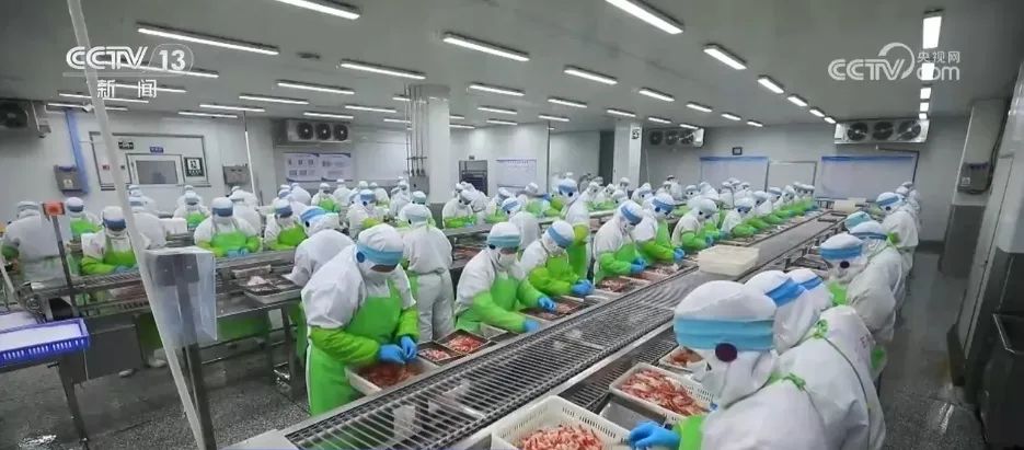 2.21萬億元、同比增長4.0% 我國一季度冷鏈物流需求穩中有升