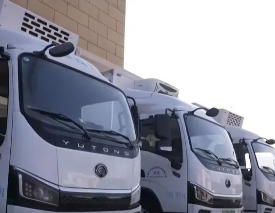 2.21萬億元、同比增長4.0% 我國一季度冷鏈物流需求穩(wěn)中有升